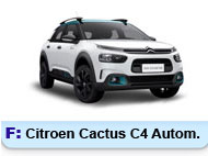 Cactus C4 Autom.